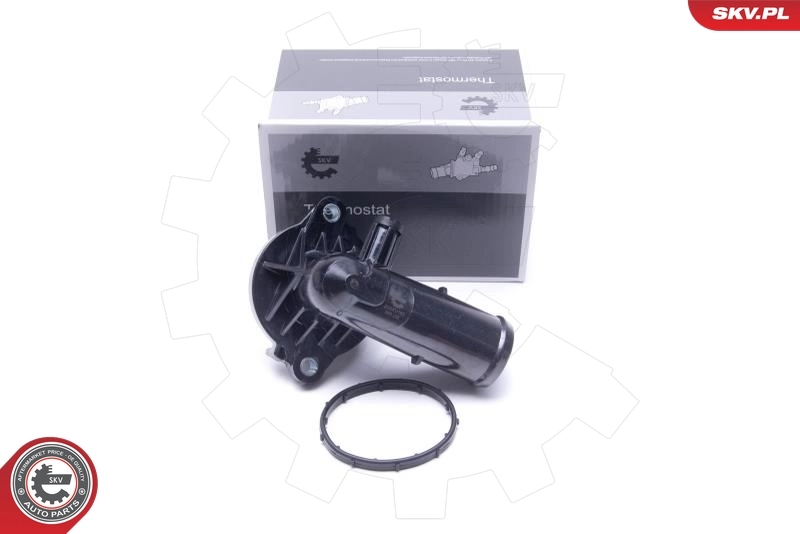 Thermostat, coolant